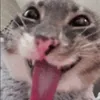 vaupq