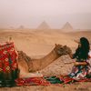 wen_the_wanderlust