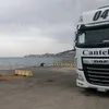 denis_adnan85