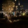 the_wolf5_4