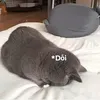 uyn.ltt