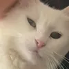 melinisios