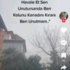 seratimet
