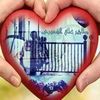 taher203045702