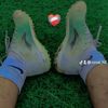 ronal_h2