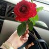 nuorah_44_