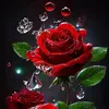 mialjc_xox