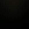 black_leg21