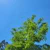 tadla_124_