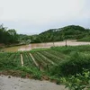 user459059186