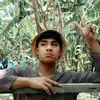 jonghopinoy