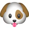 renald_55
