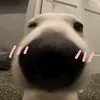 hahahahu123