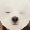 whiteangelwings0