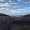 haihaihaihaihaihaihai81