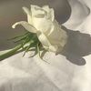user1930454