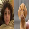 skrhdvvv_