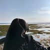 salmaul__