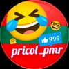 pricol_pmr__