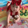 nganchip22