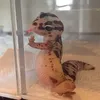 thonguyenabs