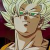 kakarottokt.22