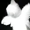 anangelhaslostwings