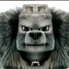 hodolfo_