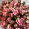 manal1333
