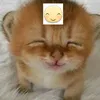 _bubi._