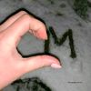 zinazina.m