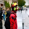 neonbutpuppy