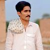 ڈوگر محکمہ