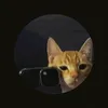 userleitora