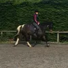morgan_hoonter