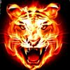 firefoxz2