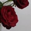 soso78445958