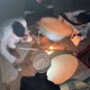 dar_tayma