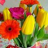 user8805420196191