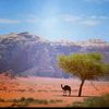ameralzawaida