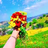 bbafreen7
