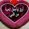 user17444824806664