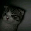 suml7we_