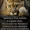 silviosalazar8