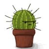 thegrumpycacti