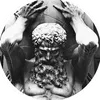 Hivoll