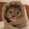 anhduong_bo