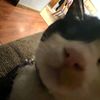vmprz_