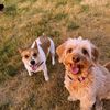 peopleandfurmommy