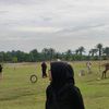 milafaizan